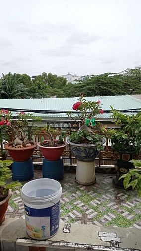 Hình ảnh Bán Nhà Tân Kỳ Tân Quý 83m2 (5x17)