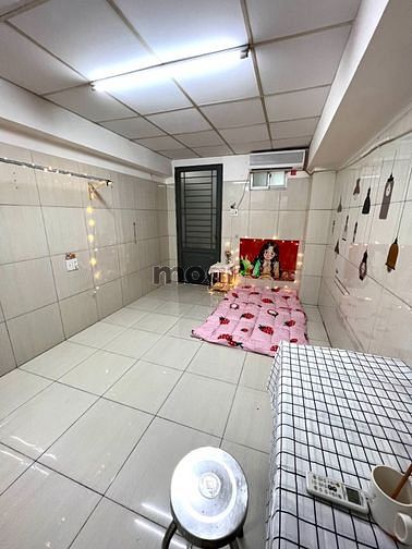 Hình ảnh Cho Thuê Trang Chủ MB66.COM Chính Thức Mini Sát Sông Gần Cao Đẳng Vinatex