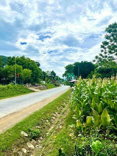 Hình ảnh Đất Thị trấn Đà Bắc bám tỉnh lộ 433, 510m2, mặt tiền 15m, chỉ 1,4 tỷ