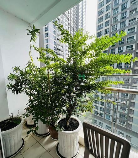 Hình ảnh Cho thuê Trang Chủ MB66.COM / Đăng Ký Tặng 66K 1pn nội thất đầy đủ 55m2 17tr/th