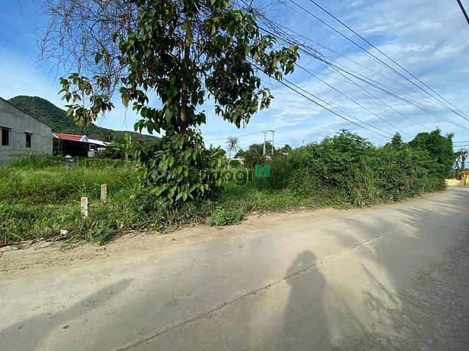 Hình ảnh Bán Đất Mặt Tiền Đường Liên Hoa. Vĩnh Ngọc
