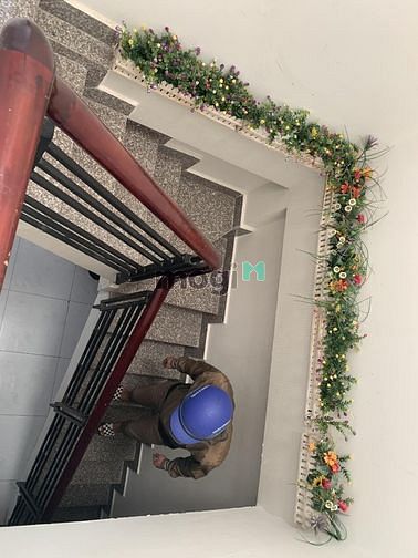 Hình ảnh Nhà P13 Tân Bình 43m2 Khu VIP Chỉ 4,3 Tỷ TL
