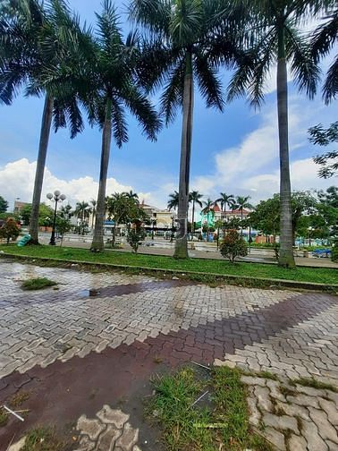 Hình ảnh Bán đất mặt tiền lớn đường số 6 Chợ đầu mối Thủ Đức 215m 15Tỷ