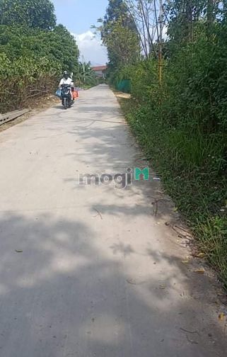 Hình ảnh Bán đất tràng bảng 2 tràng An đông triều Quảng Ninh