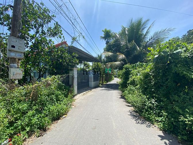 Hình ảnh bán 2 lô đất đẹp đường nhựa 5m Thôn Trung. Vĩnh Phương