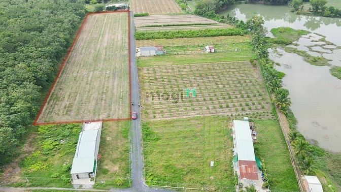 Hình ảnh Cần bán 179m2 đất có thổ cư view Núi Bà Đen tại xã Tân Hưng