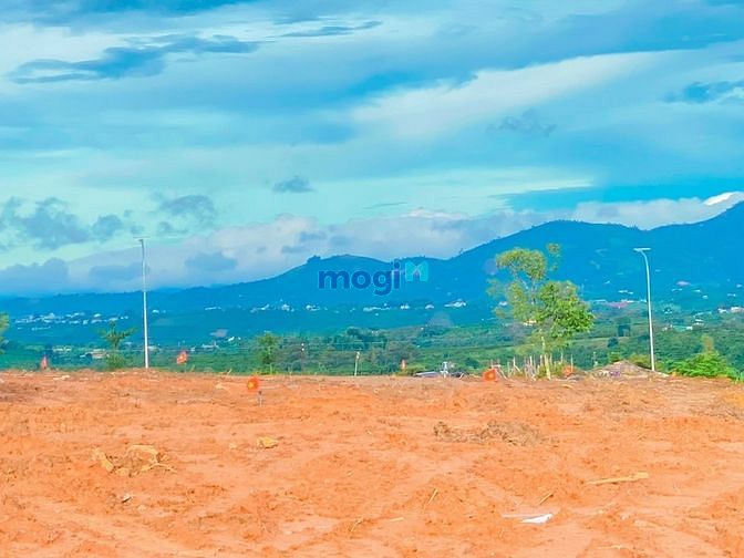 Hình ảnh Đất nền Bảo Lộc đẹp view sườn đồi, vườn chè