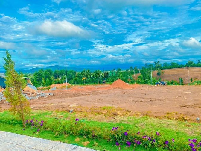 Hình ảnh Đất nền Bảo Lộc đẹp view sườn đồi, vườn chè