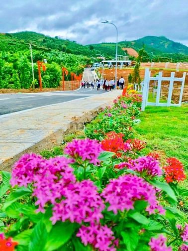 Hình ảnh Đất nền Bảo Lộc đẹp view sườn đồi, vườn chè