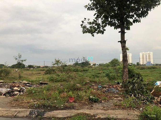 Hình ảnh Bán gấp lô đất full thổ cư q12 100m2 1tỷ60