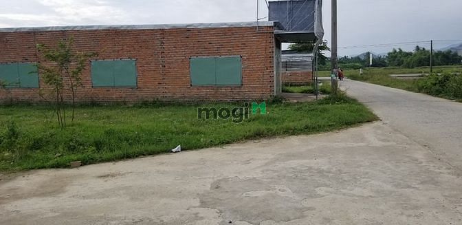 Hình ảnh bán lô góc 2 Mặt Đường 8m Thôn Trung. Vĩnh Phương