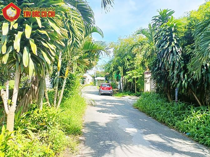 Hình ảnh Bán đất hẻm 106 - 323m2 - 8x41 - xã tân thạnh đông - củ chi
