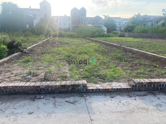 Hình ảnh Bán đất TT Quang Minh, Mê Linh 185m2 - MT: 7m full thổ cư 19,5 tr/m2