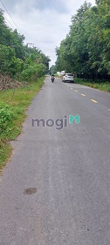 Hình ảnh 🌳NGỘP NỢ_ĐÀNH BÁN LỖ_Bán Lỗ 3.6 Sào đất MT DH716 Long Tân, Bình Dương