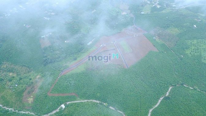 Hình ảnh Bán lô đất Cách Chợ bảo Lộc 4km , mặt tiền Nguyễn Văn Cừ thổ cư 215m2