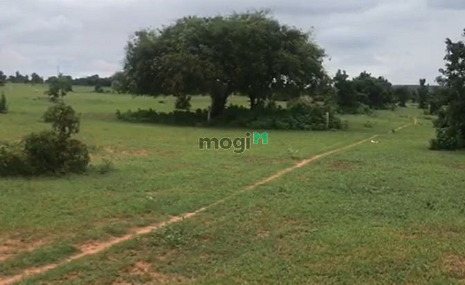 Hình ảnh Bán mảnh đất tại Bình Thuận, SHR