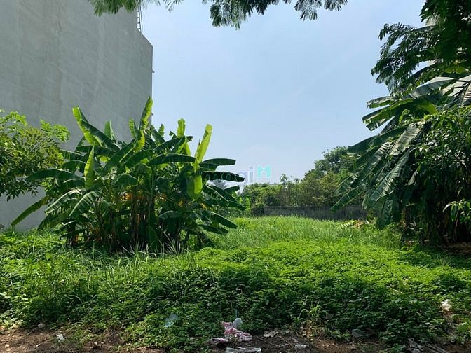 Hình ảnh Sang nhanh lô đất thổ cư 100m2 giá 2,2 tỷ đường Nguyễn Thị Đặng, Q12