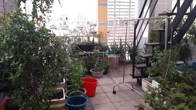 Hình ảnh Diện tích khủng sát khu Tên Lửa Phường Bình Trị Đông, Quận Bình Tân