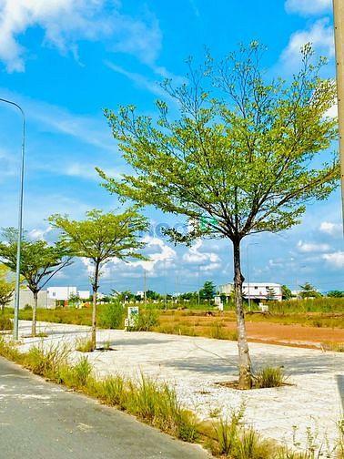 Hình ảnh HOT! Chính thức mở bán lô đất tri ân khách hàng