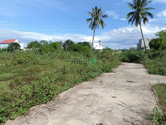 Hình ảnh Bán đất Thôn Tây Đường 3m ôtô Vĩnh Phương. Nha Tràng