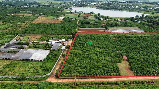 Hình ảnh Kẹt Tiền Cần Sang Lô Đất View Hồ - TT Tp.Pleiku Gia Lai,3000m2..Đ.30m