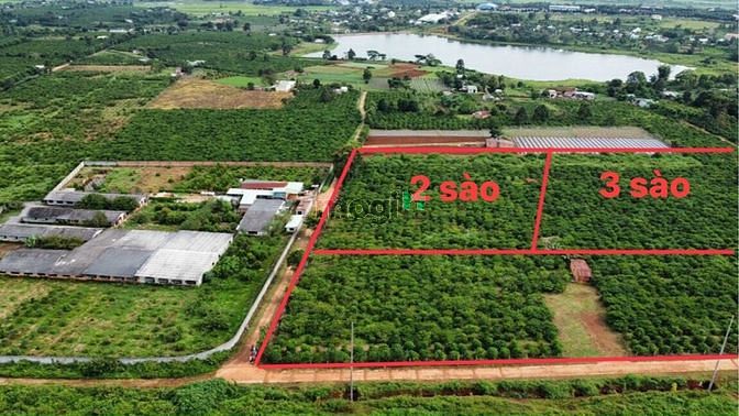 Hình ảnh Kẹt Tiền Cần Sang Lô Đất View Hồ - TT Tp.Pleiku Gia Lai,3000m2..Đ.30m