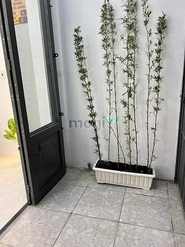 Hình ảnh ☺Nhà mới + có hầm + đường oto 4PN ST. P.An Kháh Q2