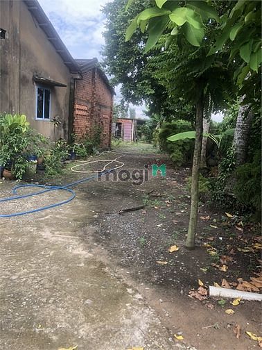 Hình ảnh Bán 1.000m2 đất mặt tiền đường bến than xã hòa phú củ chi