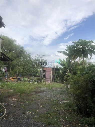 Hình ảnh Bán 1.000m2 đất mặt tiền đường bến than xã hòa phú củ chi