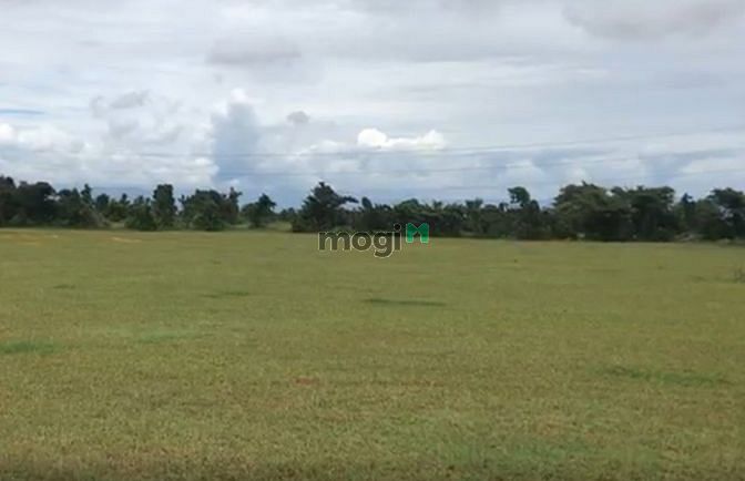 Hình ảnh Bán miếng đất ven biển tại Bình Thuận, SHR