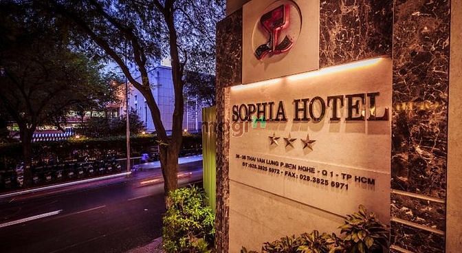 Hình ảnh 🕋 QUẬN 1 - Khách Sạn Chuẩn ⭐️⭐️⭐️ SOPHIA HOTEL