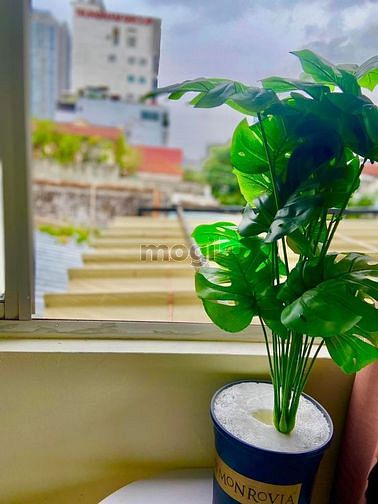 Hình ảnh Phòng View Đà Lạt, gần CV Hoàng Văn Thụ giá tốt.