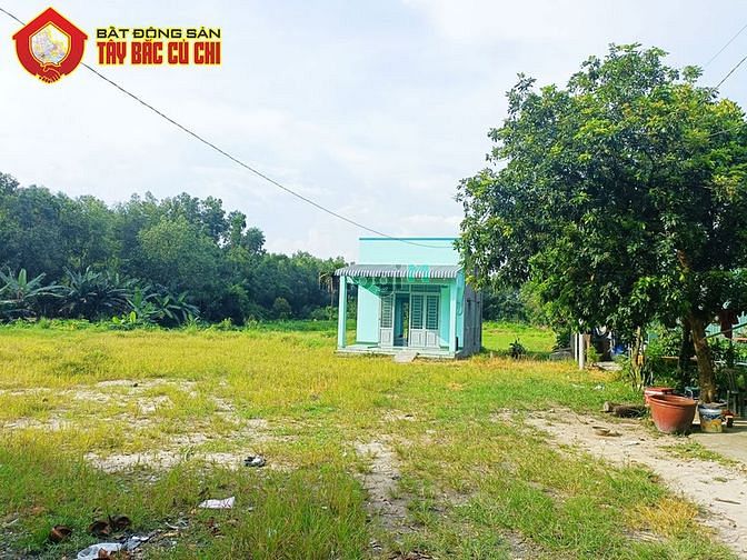 Hình ảnh Bán đất 1/ đường cây gõ - 4611m2 - 40x136 - 300m2 thổ cư - xã an phú