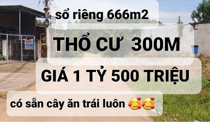 Hình ảnh Bán vườn trái cây cách TPHCM 40KM. 39x33 giá 1 tỷ rưỡi