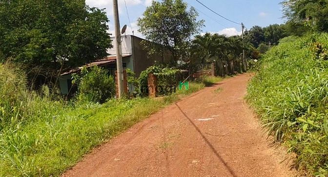 Hình ảnh Bán vườn trái cây cách TPHCM 40KM. 39x33 giá 1 tỷ rưỡi
