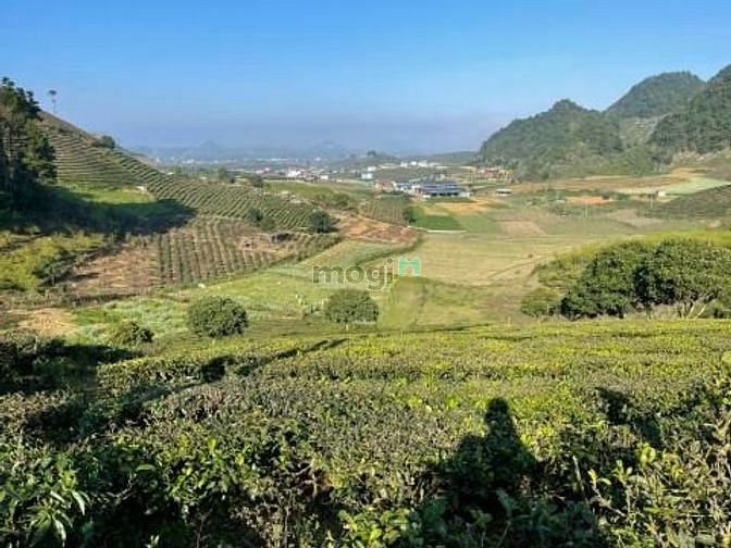 Hình ảnh Đất nền Chiềng Đi, trung tâm Mộc Châu, 3400 m2, đã có sổ, đón sóng cao