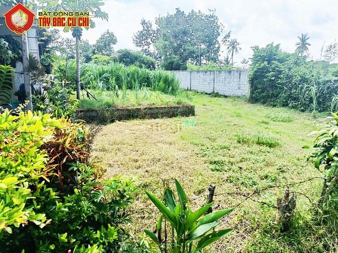 Hình ảnh Bán đất 1/ Tỉnh Lộ 7 - 557m2 - 12x46 - 200m2 thổ cư - xã An Nhơn Tây