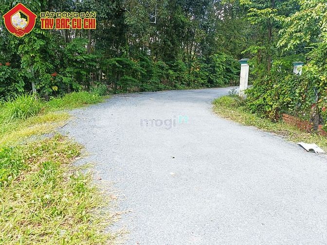 Hình ảnh Bán đất 1/ Tỉnh Lộ 7 - 557m2 - 12x46 - 200m2 thổ cư - xã An Nhơn Tây
