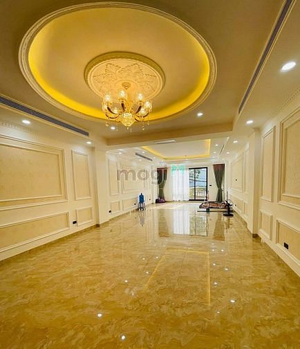 Hình ảnh Phân lô TT Báo Chí Nguyễn Phong Sắc, Cầu Giấy - 62m2 - Thang máy - 14T