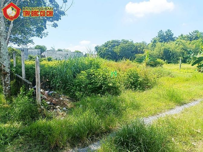 Hình ảnh Bán đất 2/ Nguyễn Thị Lắng - 1005m2 - 18x55 - 300m2 thổ cư - Củ Chi