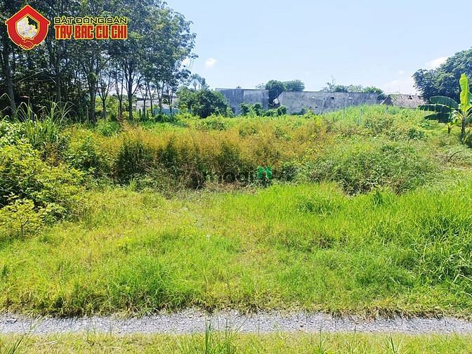 Hình ảnh Bán đất 2/ Nguyễn Thị Lắng - 1005m2 - 18x55 - 300m2 thổ cư - Củ Chi