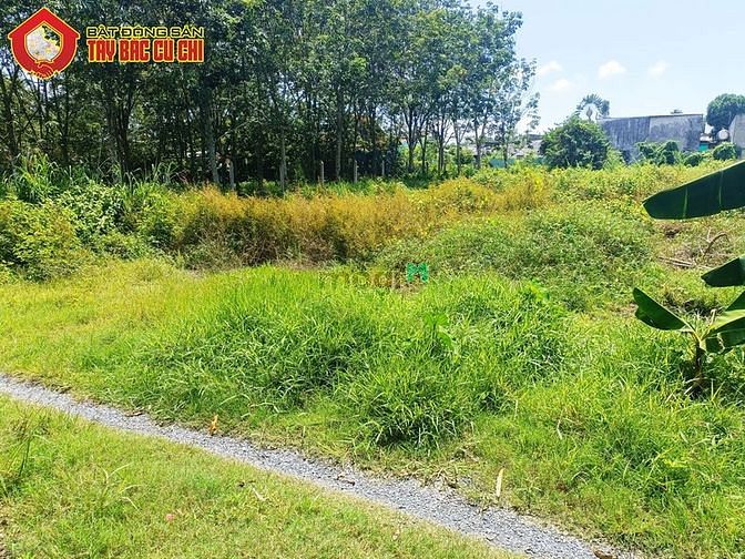 Hình ảnh Bán đất 2/ Nguyễn Thị Lắng - 1005m2 - 18x55 - 300m2 thổ cư - Củ Chi