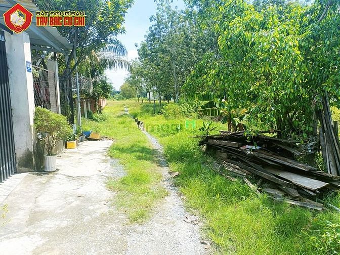 Hình ảnh Bán đất 2/ Nguyễn Thị Lắng - 1005m2 - 18x55 - 300m2 thổ cư - Củ Chi