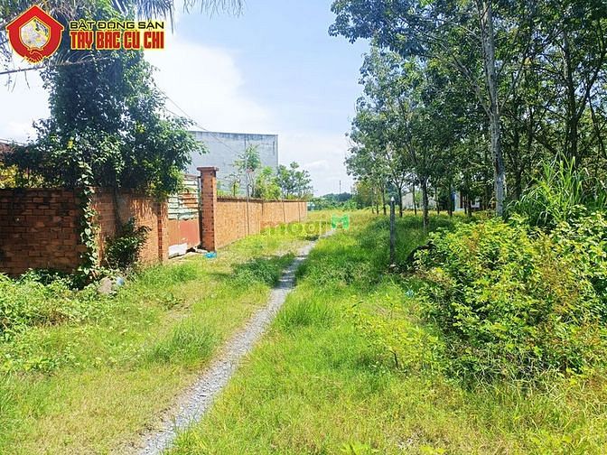 Hình ảnh Bán đất 2/ Nguyễn Thị Lắng - 1005m2 - 18x55 - 300m2 thổ cư - Củ Chi