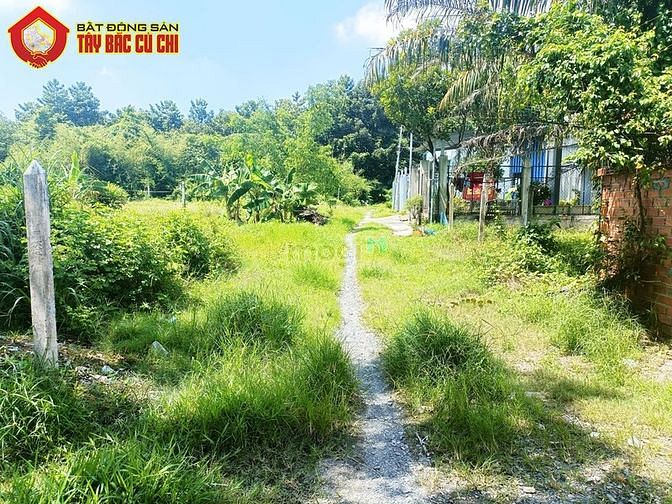 Hình ảnh Bán đất 2/ Nguyễn Thị Lắng - 1005m2 - 18x55 - 300m2 thổ cư - Củ Chi