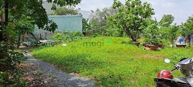 Hình ảnh Ban gấp lô đất 800m2 (32x25) giá chị 20 triê dường 48 hiệp bình chánh