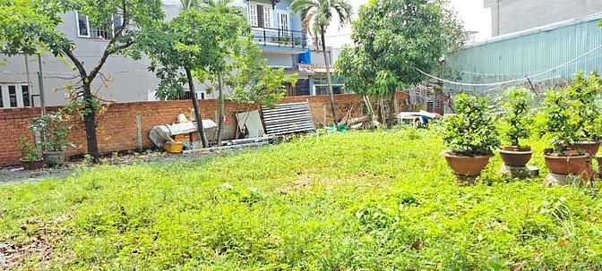 Hình ảnh Ban gấp lô đất 800m2 (32x25) giá chị 20 triê dường 48 hiệp bình chánh