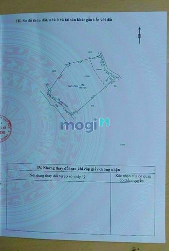 Hình ảnh 🏕SIÊU RẺ_ĐẸP_Chỉ 770k/m2_Bán BIỆT THỰ VƯỜN 1.2Ha Định An, Dầu Tiếng.