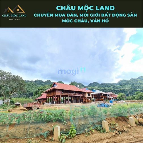 Hình ảnh Cần bán đất bản áng - đông sang - mộc châu view cực đẹp
