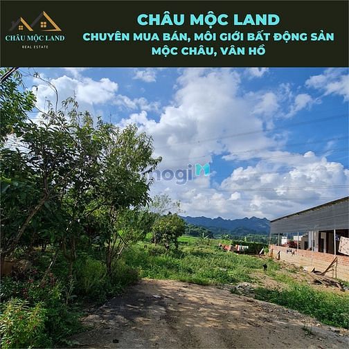 Hình ảnh Cần bán đất bản áng - đông sang - mộc châu view cực đẹp